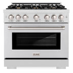 ZLINE 36 in. Gas Range 5.2 cu. ft. Convection Oven with 6 Brass Burners, Satin Stainless Steel (HGRS-BR-36)