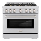 ZLINE 36 in. Select Dual Fuel Range 5.2 cu. ft. Stainless Steel with 6 Brass Burners (HDR-BR-36)