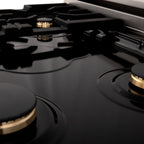 ZLINE 30" Dual Fuel Range with Gas Cooktop and Electric Oven, Stainless Steel with Brass Burners (RA-BR-30)