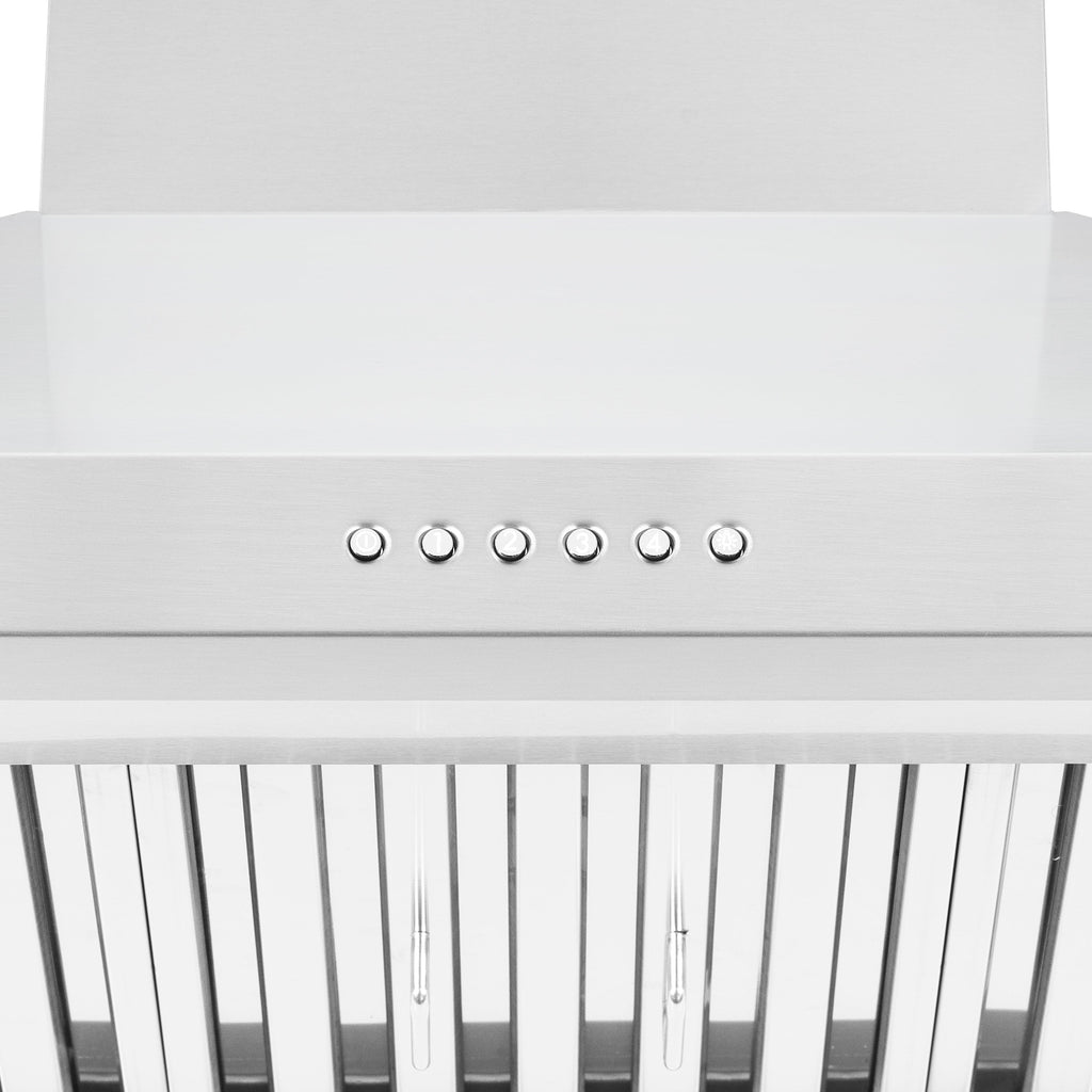 ZLINE 30 in. Wall Mount Range Hood – Alpine Series – Stainless Steel – 500 CFM Ducted Ventilation (ALP100WL-30)