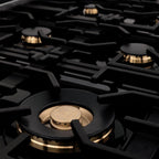 ZLINE Autograph 48-Inch Dual Fuel Range, 6.0 Cu. Ft., Black Stainless Steel with Gold Accents (RABZ-48-G)
