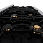 ZLINE 48-Inch Professional Gas Range with Electric Oven, Stainless Steel, Brass Burners (RA-BR-48)