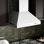 ZLINE 42 in. Wall Mount Range Hood with Remote Dual Blower, Stainless Steel, High-Performance Ventilation (697-RD-42)