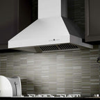 ZLINE 30 Inch Wall Mount Range Hood Convertible Vent Stainless Steel 697-30