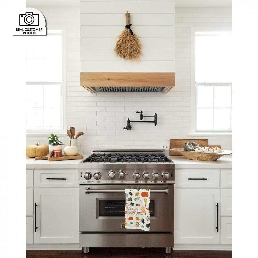 ZLINE 40 Inch Range Hood Insert 15 Inch Depth Stainless Steel Built-In Ventilation 400 CFM (695-40)